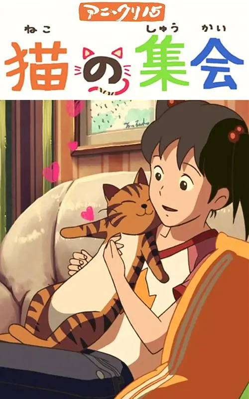 踩vk视频