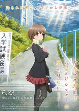 私人导师高级课程
