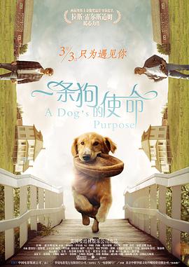久草观看