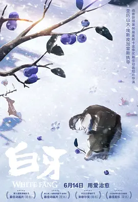 av爱干