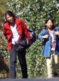 在线中文资源天堂