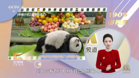 深夜免费福利视频在线播放